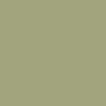 Colour of the front - Avocado matte NCS S3020-G60Y