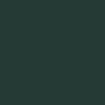 Kolor siedziska - Ciemny zielony RAL 6012