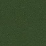 Colour of interior walls - MC-2497-68146 Green