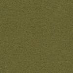 Colour of interior walls - MC-2497-62048 Olive