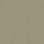 Colour of interior walls - MC-2496-62093 Light olive