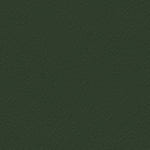 V-29 Dark green