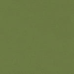 V-09 Olive