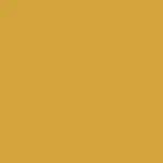 Kolor siedziska - Żółty RAL 0807060