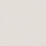 C-07 White