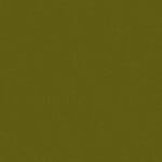 C-43 Light olive