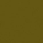 C-42 Olive