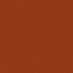 C-19 Orange