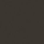 C-12 Dark brown