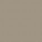 NE-1 Beige