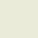Pearl white RAL 1013