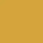 Yellow RAL 0807060
