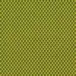 R-68056 Green