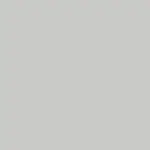 Light grey RAL 7047
