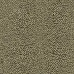 VC-0219 Olive