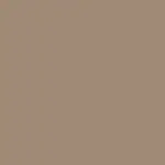 Brown semi-matt RAL 1019