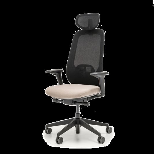 Iris chair with height adjustment