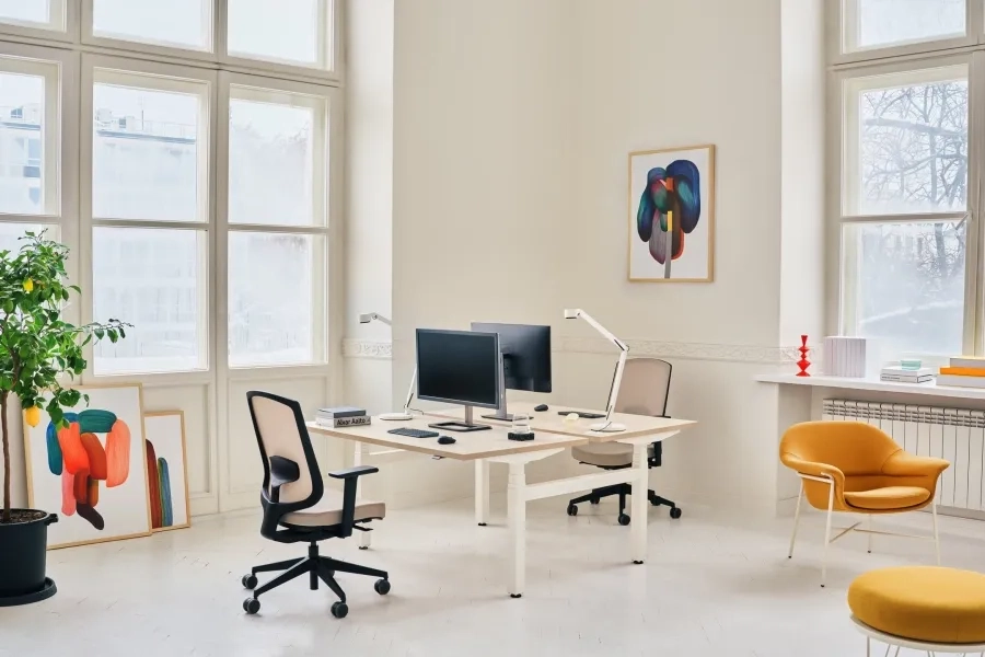 How do I choose a good office chair? A guide to functions and mechanisms