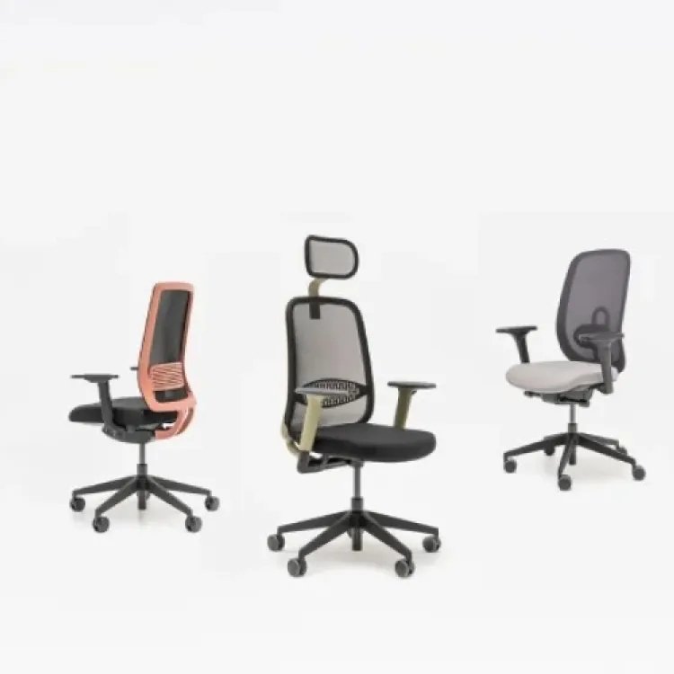 Set of office chairs