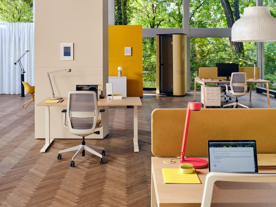 Open space sans bruit : stratégie globale pour améliorer l'acoustique au bureau