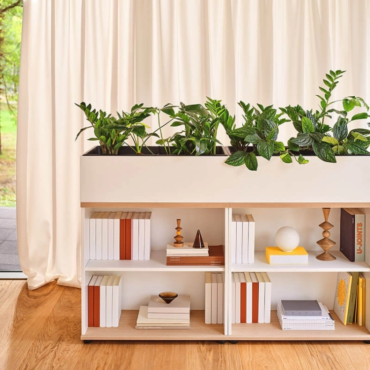 Low office bookcase with shelves for books and a plant pot on top