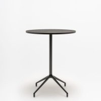 Gobo: fornir dąb czarny, RAL9005