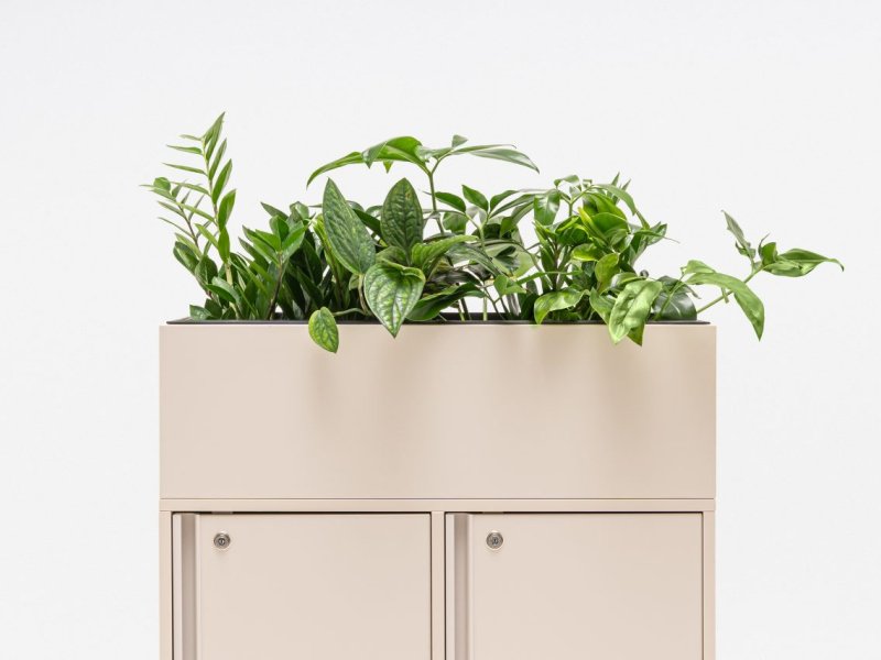 Locker Plus
