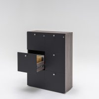 Schrank Mito: Robinie, RAL7043