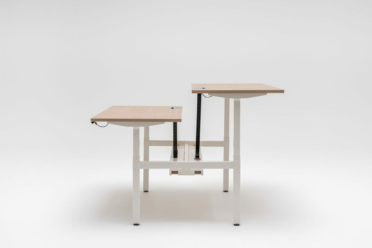 Schreibtisch mit Höhenverstellung Ogi Drive Bench: Kanadische Eiche, RAL9010