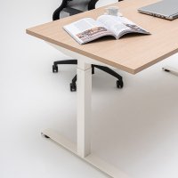 desk height adjustment Ogi Drive: canadian oak, RAL9010