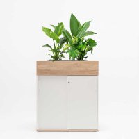 plant pot Standard: honey oak; cabinet Standard: white pastel