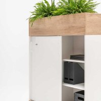 plant pot Standard: honey oak; cabinet Standard: white pastel
