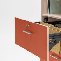 cabinet Standard: red matte, natural oak