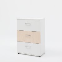 cabinet Standard: white pastel, polar birch