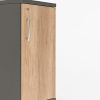 cabinet Basic: natural oak, anthracite