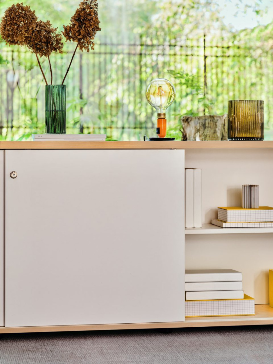 Schrank Standard: Weiß Pastell, Polarbirke