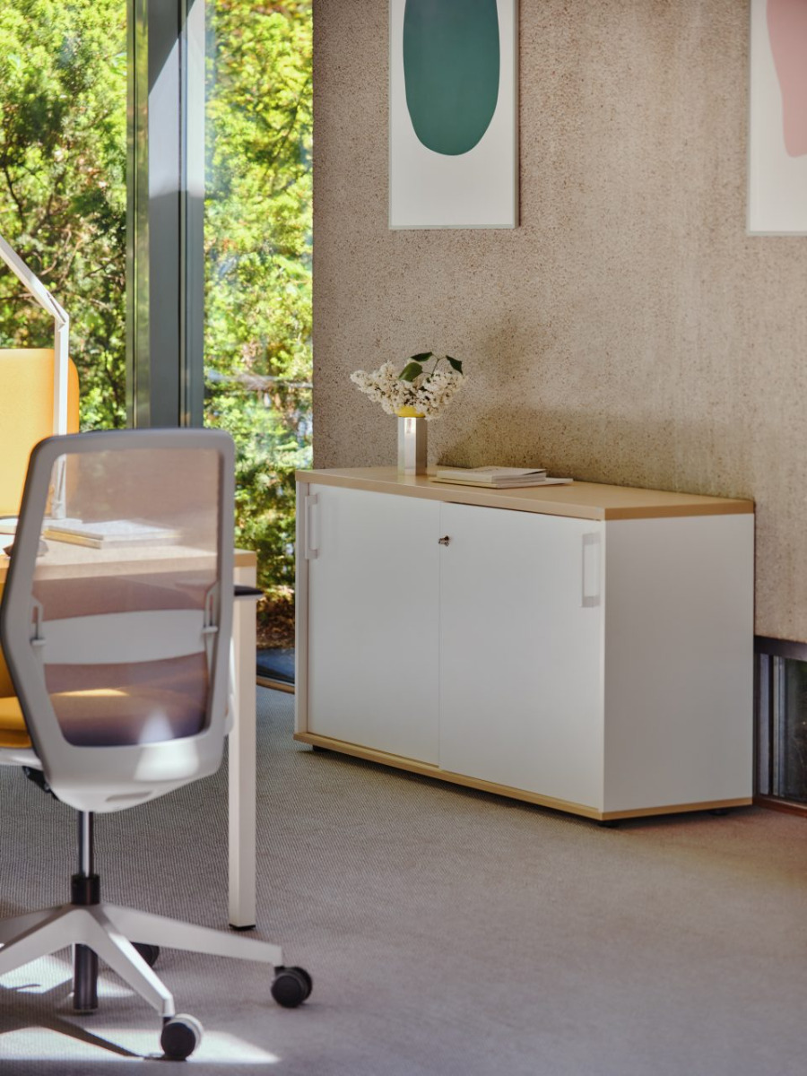 cabinet Standard: white pastel, polar birch