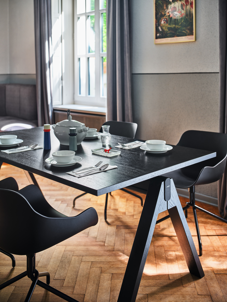 conference chair Baltic Basic: RAL9005; one-station Viga: black oak veneer