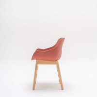 Baltic Basic: RAL0404040, natural beech