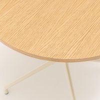 Gobo: natural oak veneer, RAL0608005
