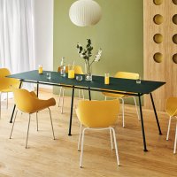 Tafel New School