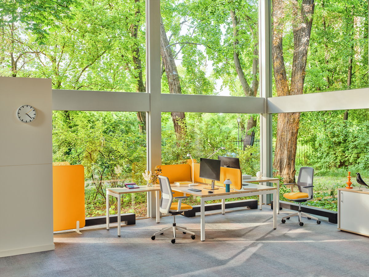 bench desk Ogi U Bench: canadian oak, RAL 9010; acoustic desk screens Sonic Ogi: Xtreme YS-072, RAL9010; office chair Evo: Xtreme YS-072, grey