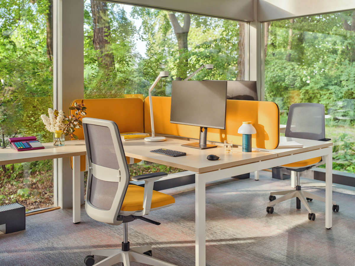 bench desk Ogi U Bench: canadian oak, RAL 9010; acoustic desk screens Sonic Ogi: Xtreme YS-072, RAL9010; office chair Evo: Xtreme YS-072, grey