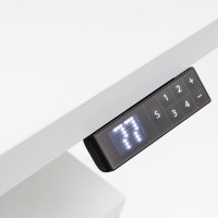 Panel Pro with memory