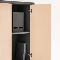cabinet Gravity: elm veneer, RAL9004