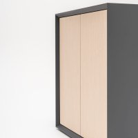 cabinet Gravity: elm veneer, RAL9004