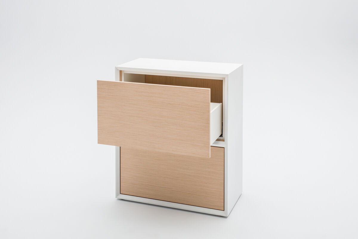 cabinet Gravity: elm veneer, RAL9003