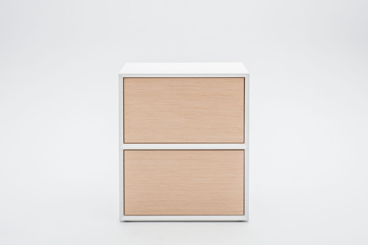 cabinet Gravity: elm veneer, RAL9003