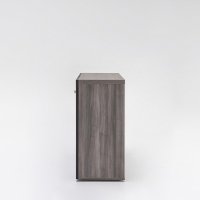 cabinet Mito: robinia, RAL7043