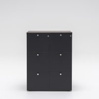 cabinet Mito: robinia, RAL7043
